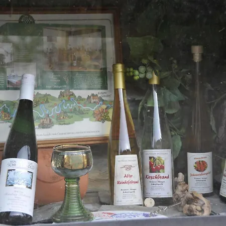 Apartment In Mit Garten *
